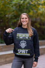 Nike 2023 Limited Edition Washington Spirit Ugly Sweater Crewneck