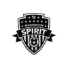 Washington Spirit Decal