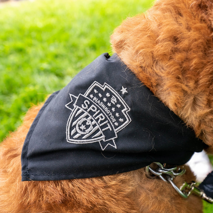 Washington Redskins Dog Sweater