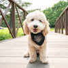 Washington Spirit Pets Collection - Dog Bandana