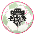 Washington Spirit Pennant Soccer Ball Crest