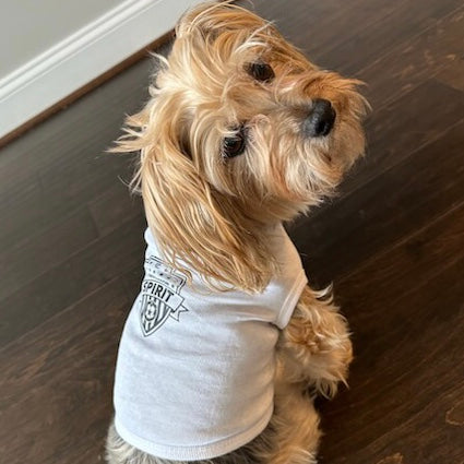 Colección Washington Spirit Pets - Camiseta para mascotas - Blanca