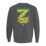 Washington Spirit x Dead Dirt Rise Up DC Crewneck Sweatshirt